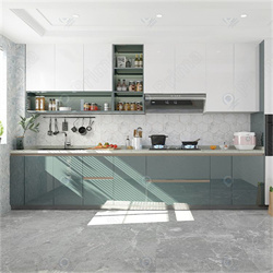 Kitchen Cabinet Customers High Gloss PR-L0808