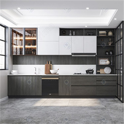 Kitchen Cabinet Luxury Kitchen Cabinet Design PR-L0808